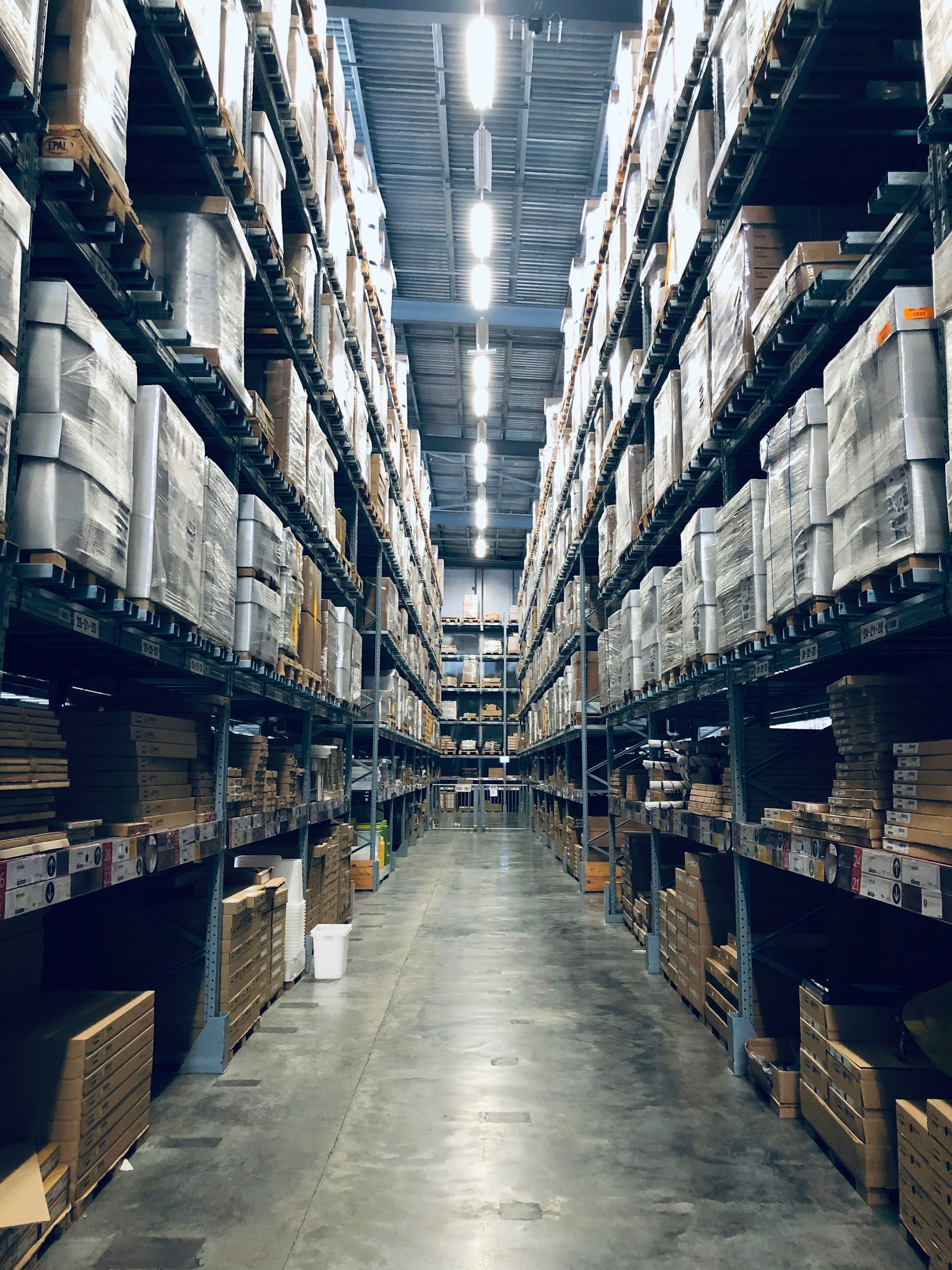 Conoce todos nuestros servicios